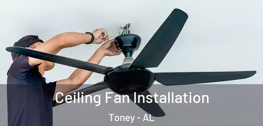 Ceiling Fan Installation Toney - AL