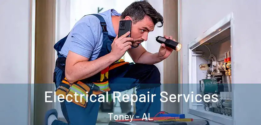  Electrical Repair Services Toney - AL
