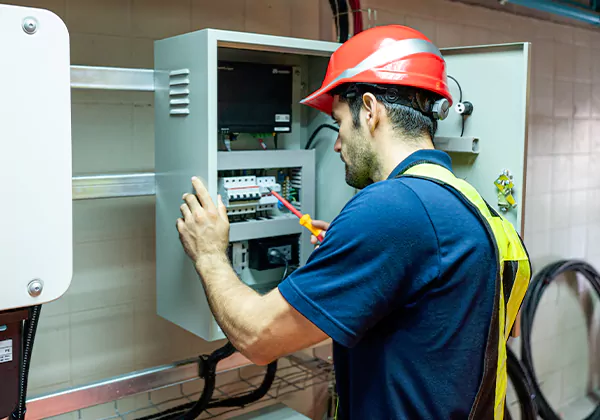 Electrical Panel Upgrade Toney