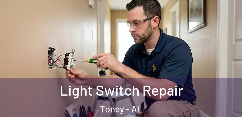 Light Switch Repair Toney - AL