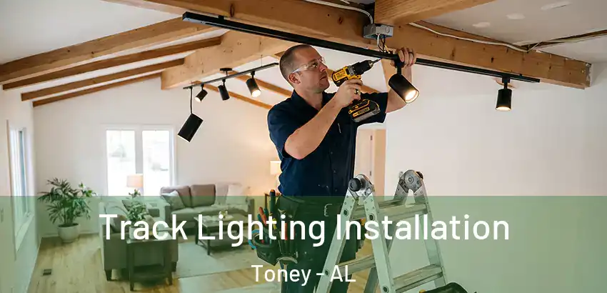 Track Lighting Installation Toney - AL